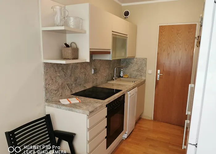 Center, Trnovski Pristan Apartma *