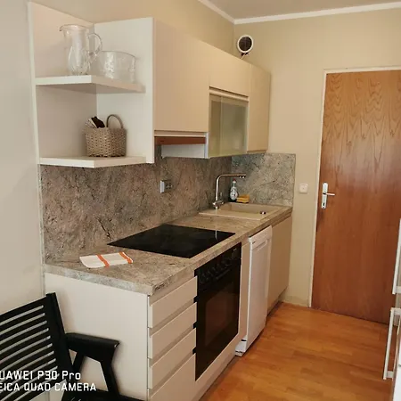 Center, Trnovski Pristan Apartamento *